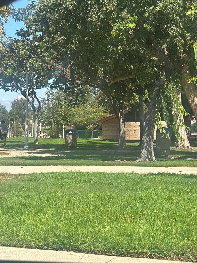 walking near me in Manhattan Heights Park in autumn