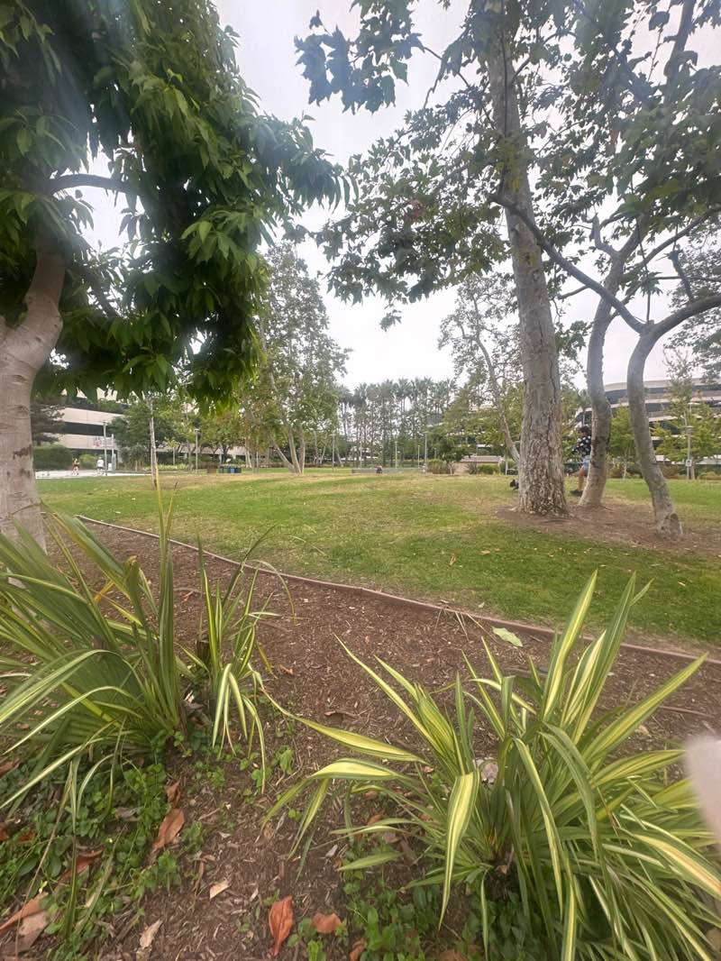 walking near me in Colorado Center Park in autumn