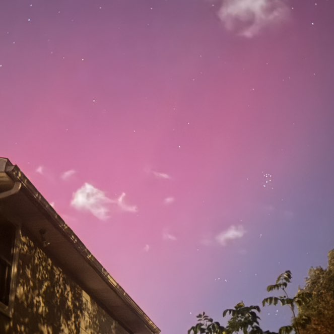 🦬Brian🦬 post 2