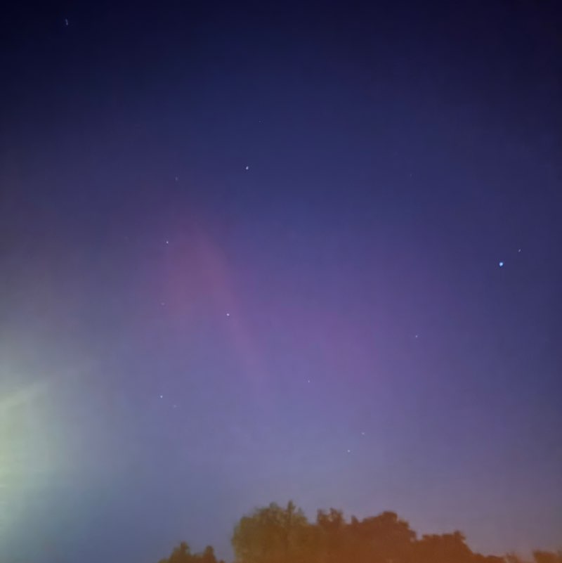 🦬Brian🦬 post 3