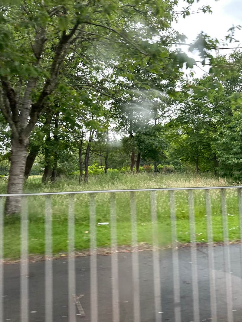 walking near me in Moor Park in summer