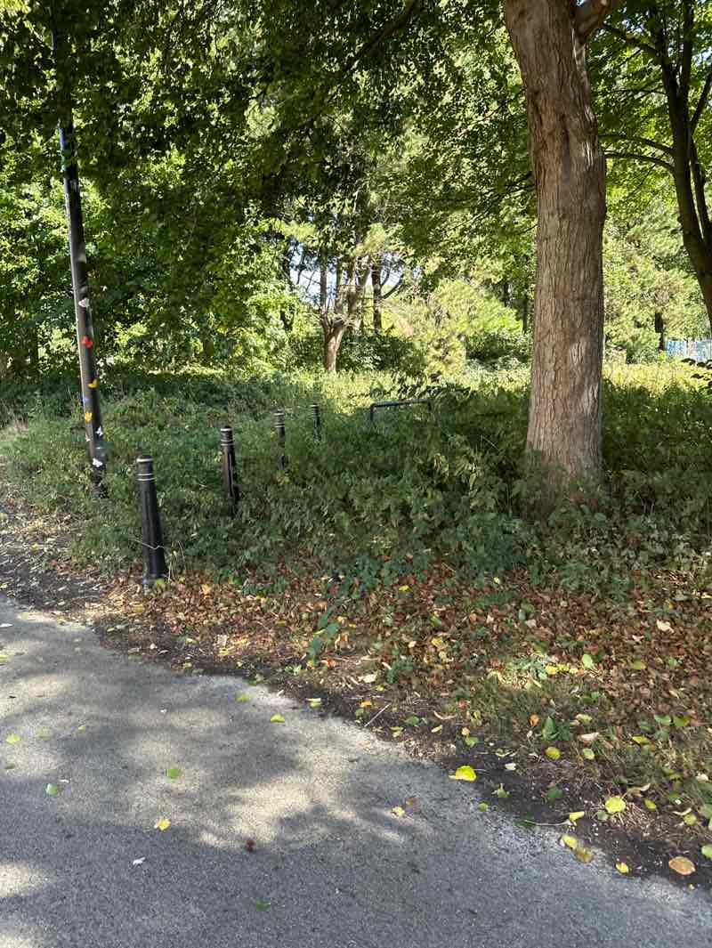 walking near me in Everton Park in autumn