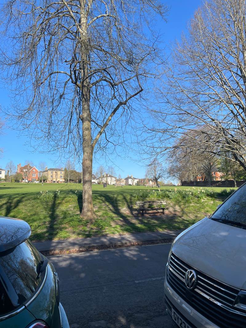 walking near me in Oram's Arbour in spring