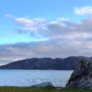 𝓜𝓪𝓻𝓲𝓪𝓷𝓷𝓮 profile