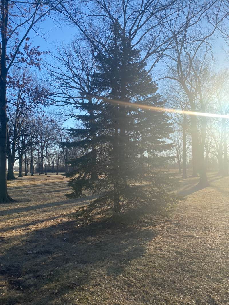 walking near me in Shaw Park in winter