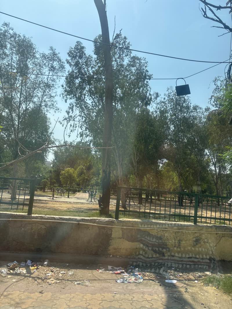 walking near me in Central Park B1 in spring