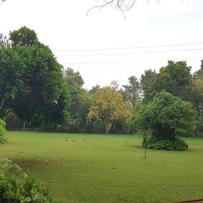 Walkaholic Devils 😈 ऋषि post image