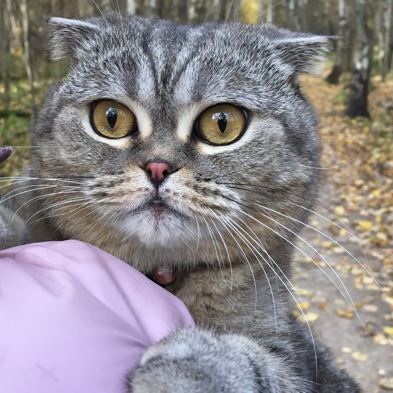 kerimovaleyla29 profile