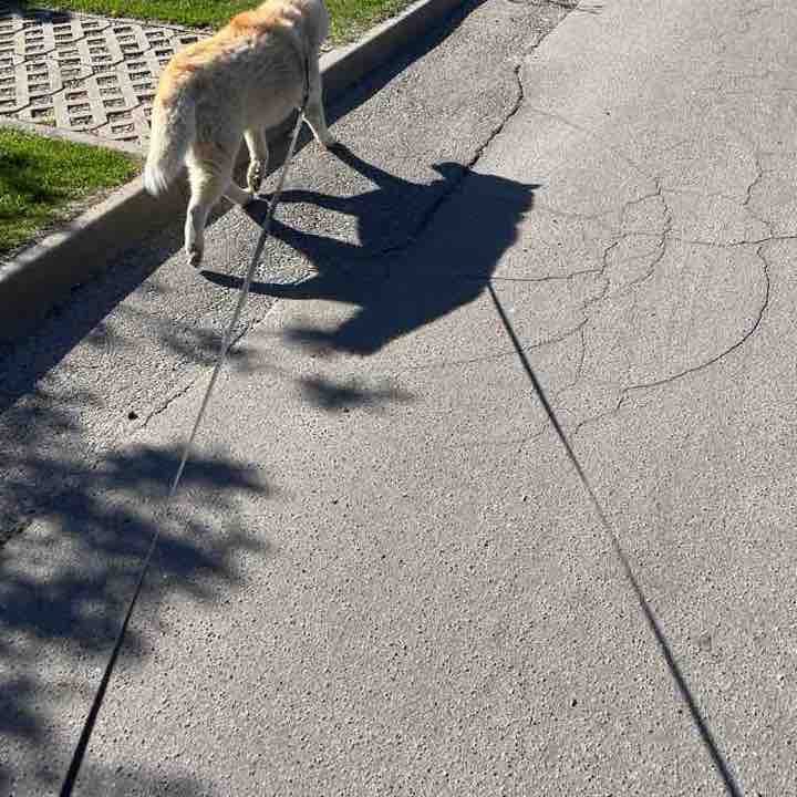 Minsk run team 6405405 post image