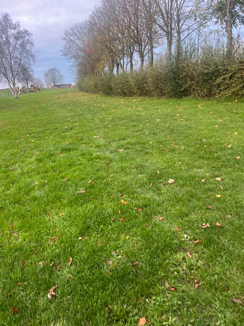 walking near me in Queen Elizabeth Circle Recreation Area in autumn