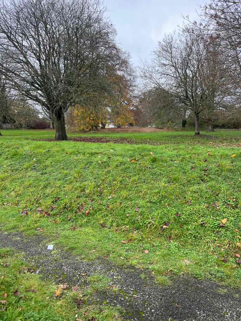 walking near me in Tom Burt's Hill in autumn