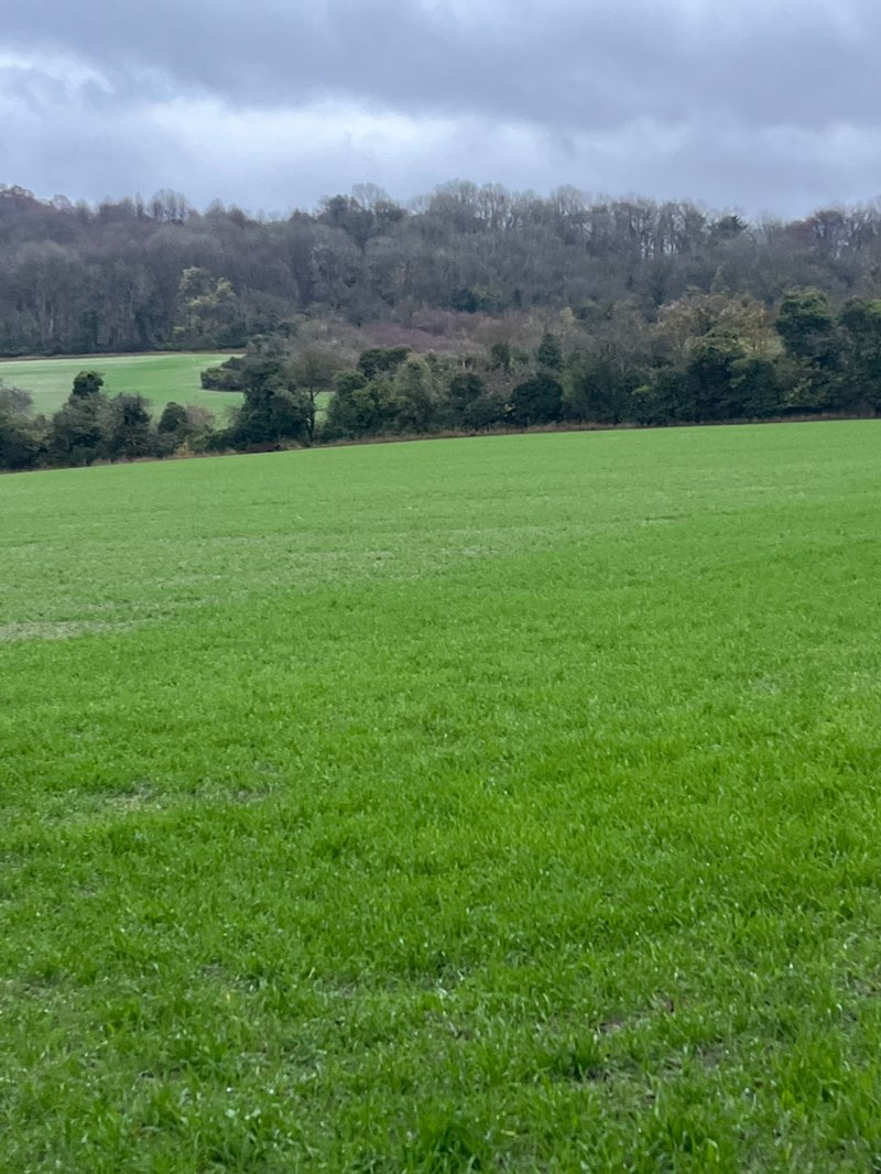 walking near me in Earl Mitchell in autumn