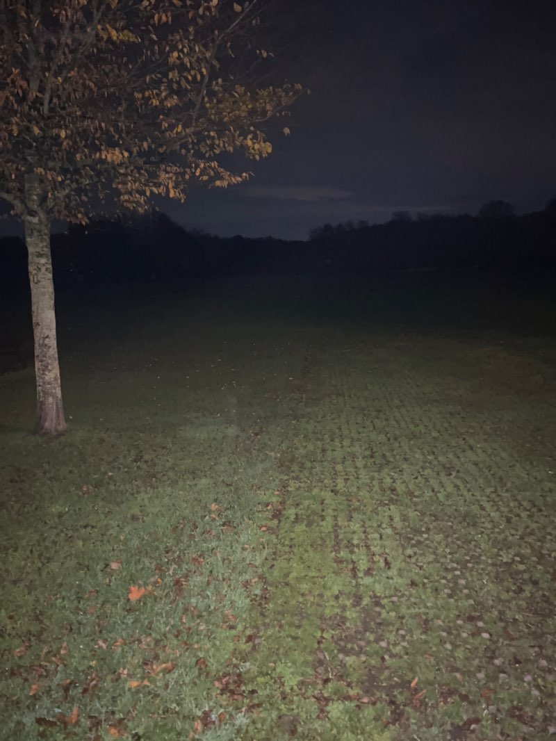 walking near me in Castle Park in autumn