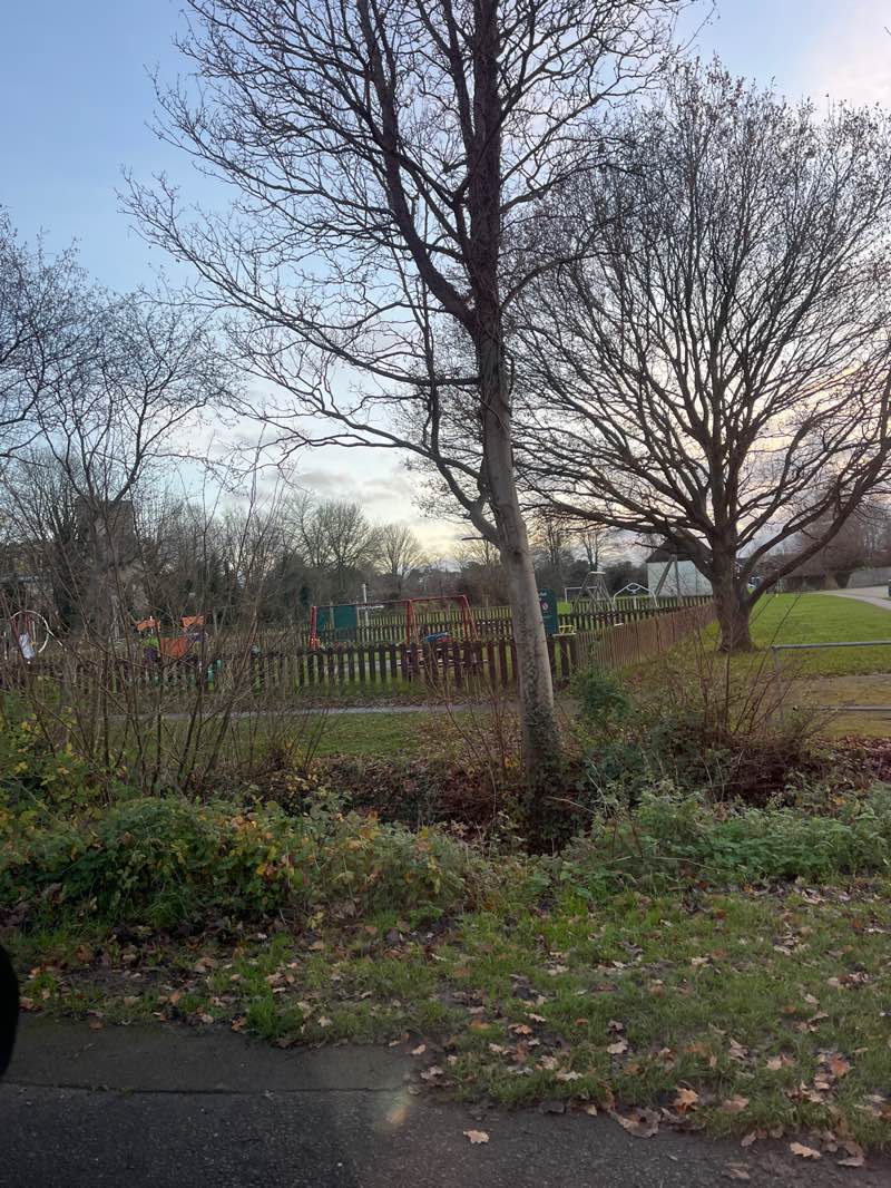 walking near me in St. Dunstan’s Recreation Ground in winter