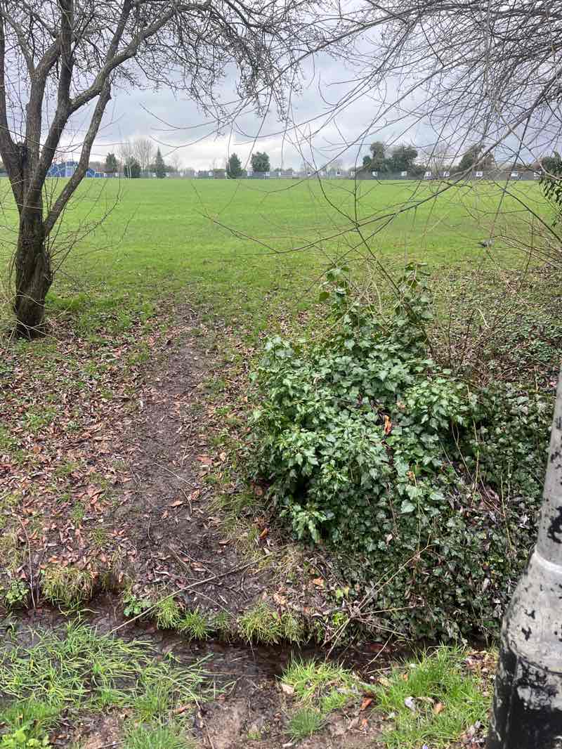 walking near me in Wades Park in winter