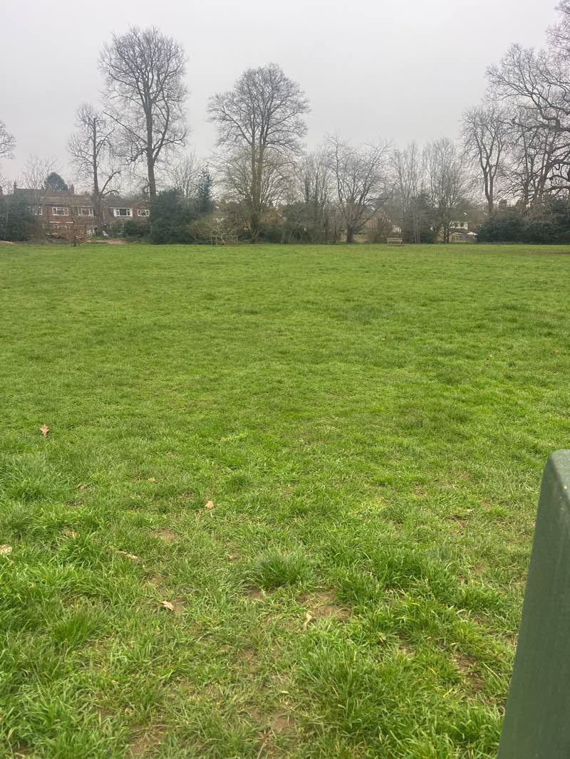 walking near me in Jubilee Green in spring