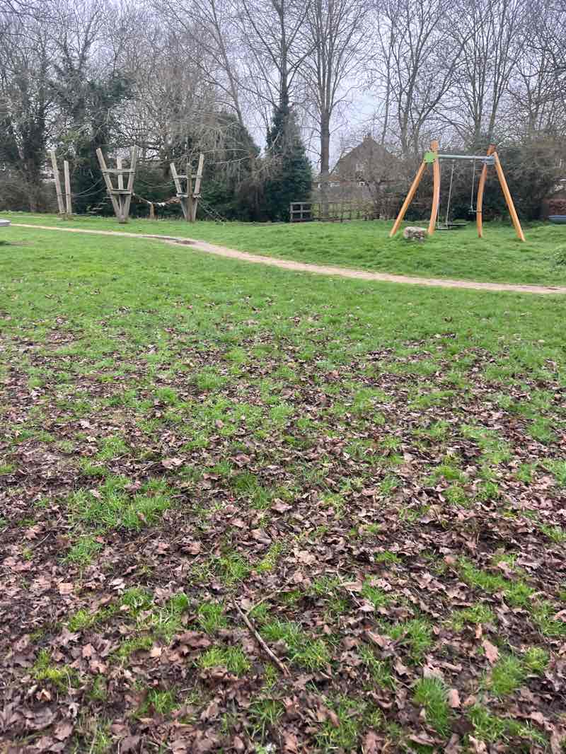 walking near me in The Paddocks Park in spring