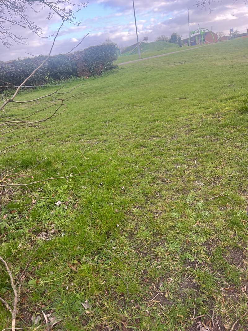 walking near me in Walton Court Park in spring