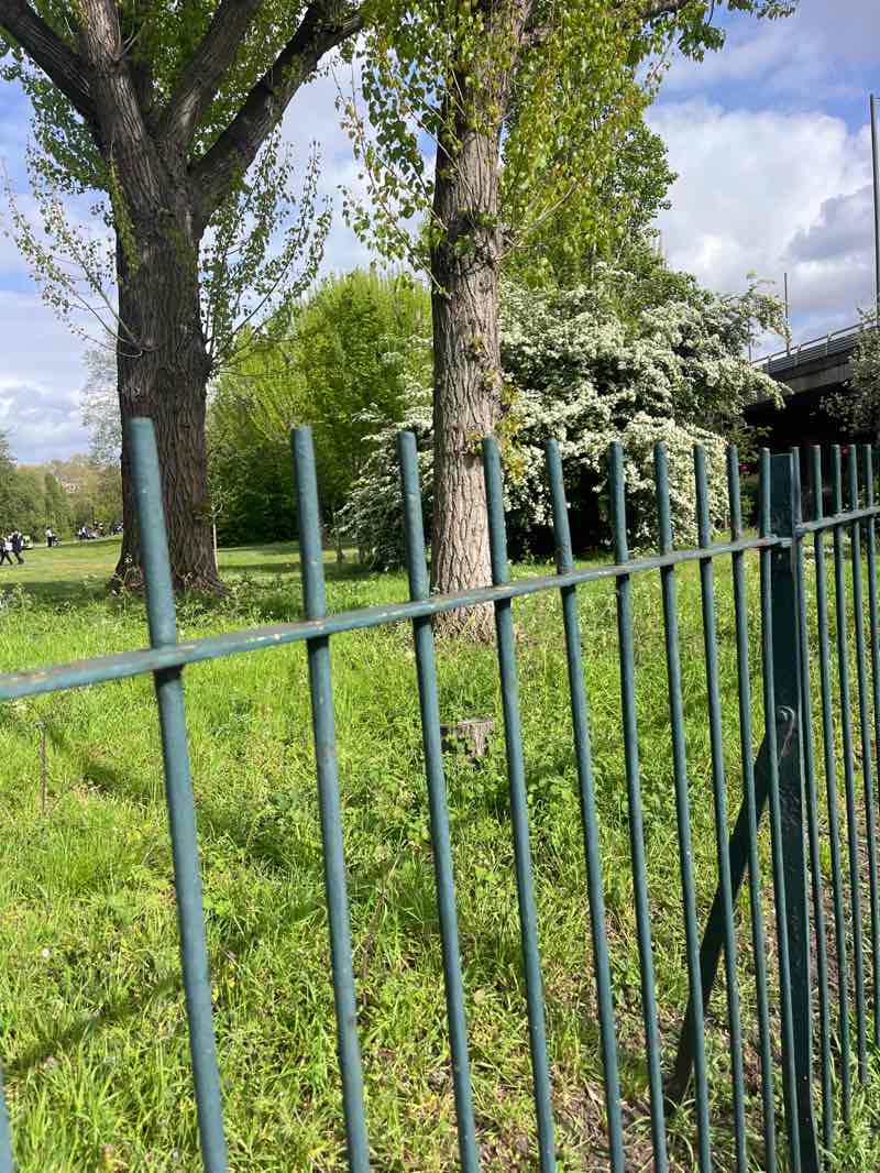 walking near me in Carville Hall Park North in spring