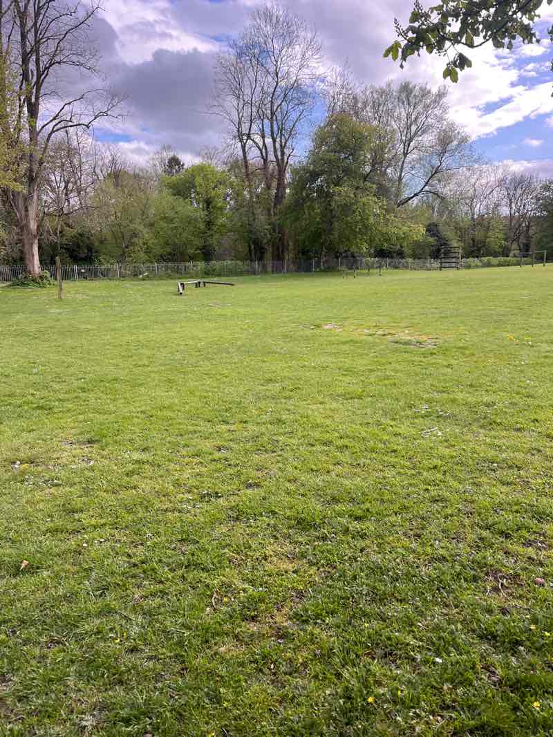 walking near me in Hampden Meadow in spring