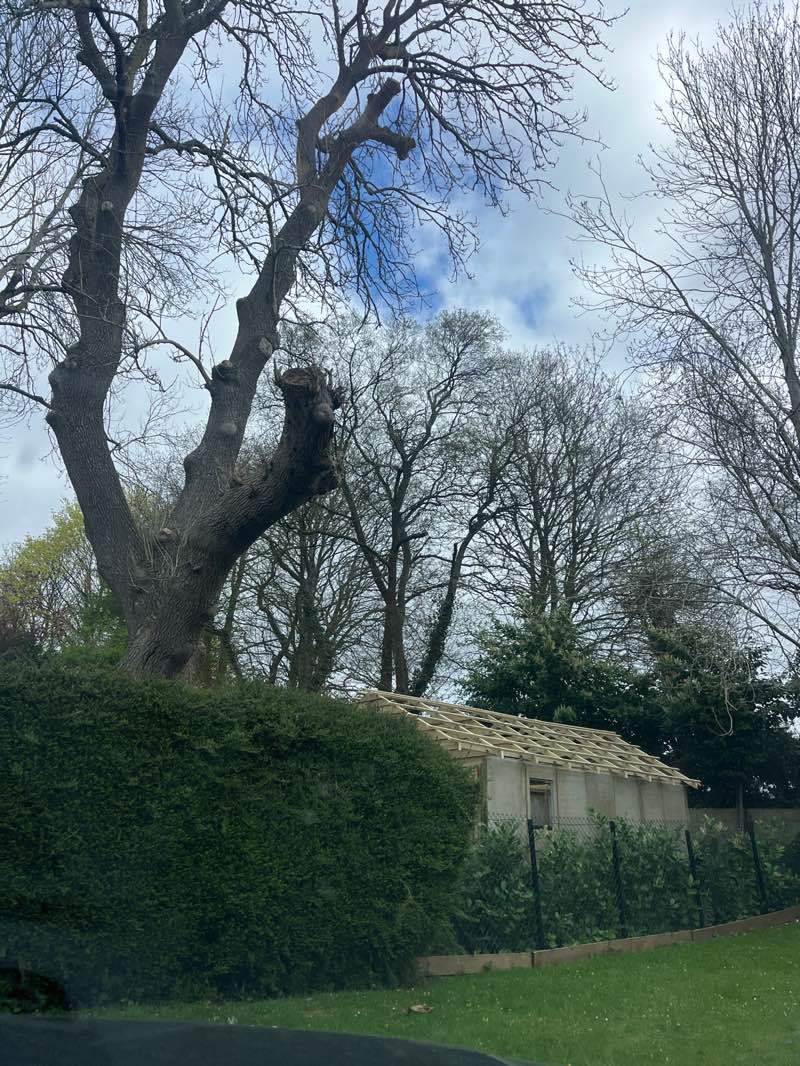 walking near me in Totteridge Recreation Ground in spring