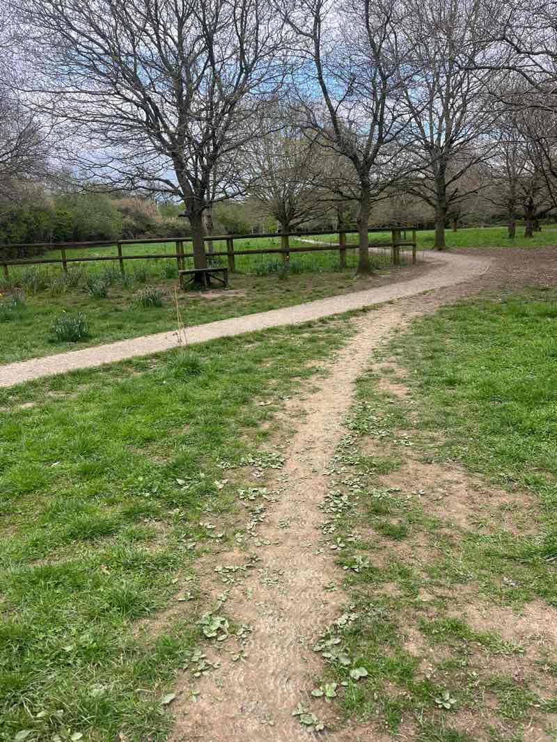 walking near me in Widmer Fields in spring