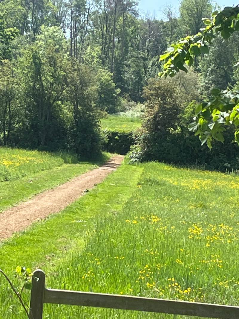 walking near me in Graven Hill Village Green in summer