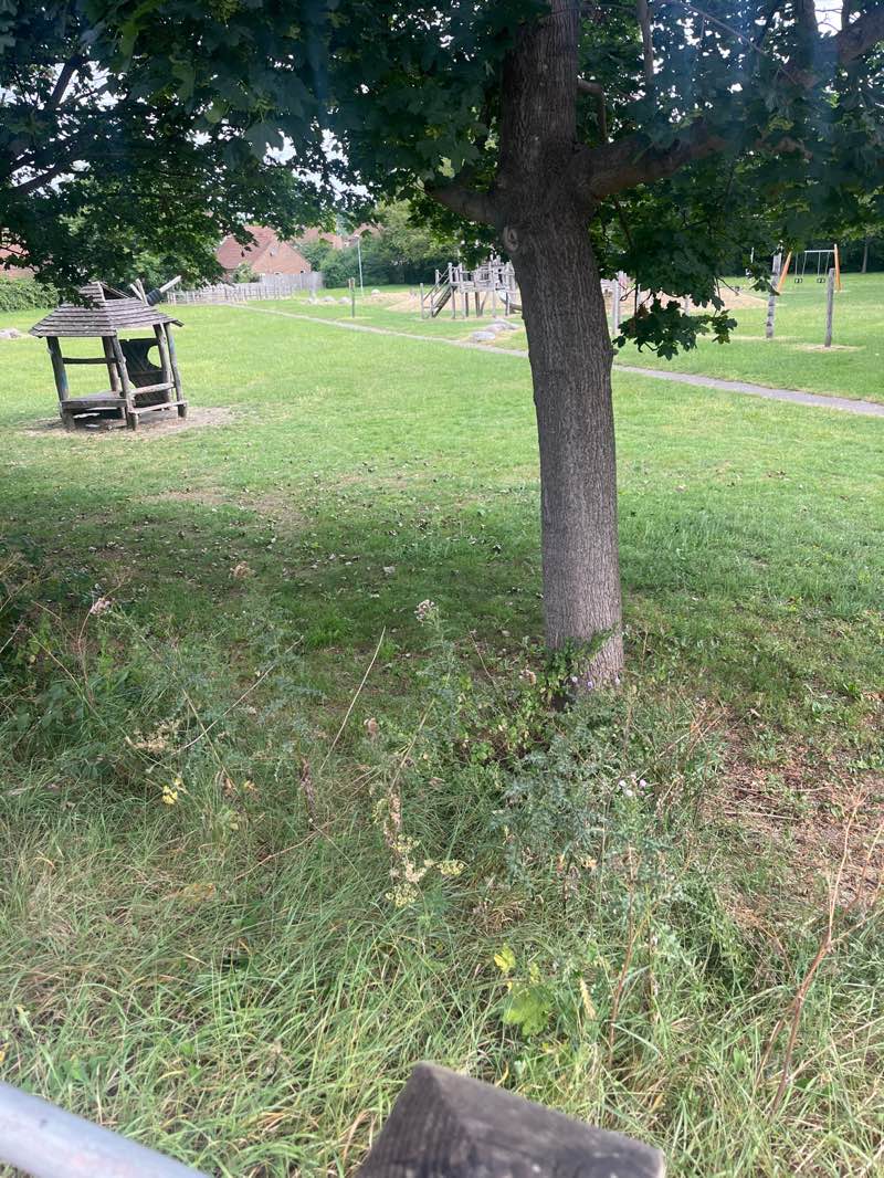 walking near me in Carlton Close Park in summer