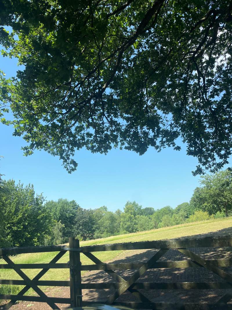 walking near me in Thirtover Place in summer