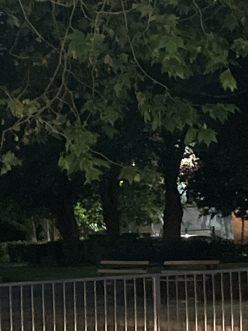 walking near me in Roman Gardens in summer