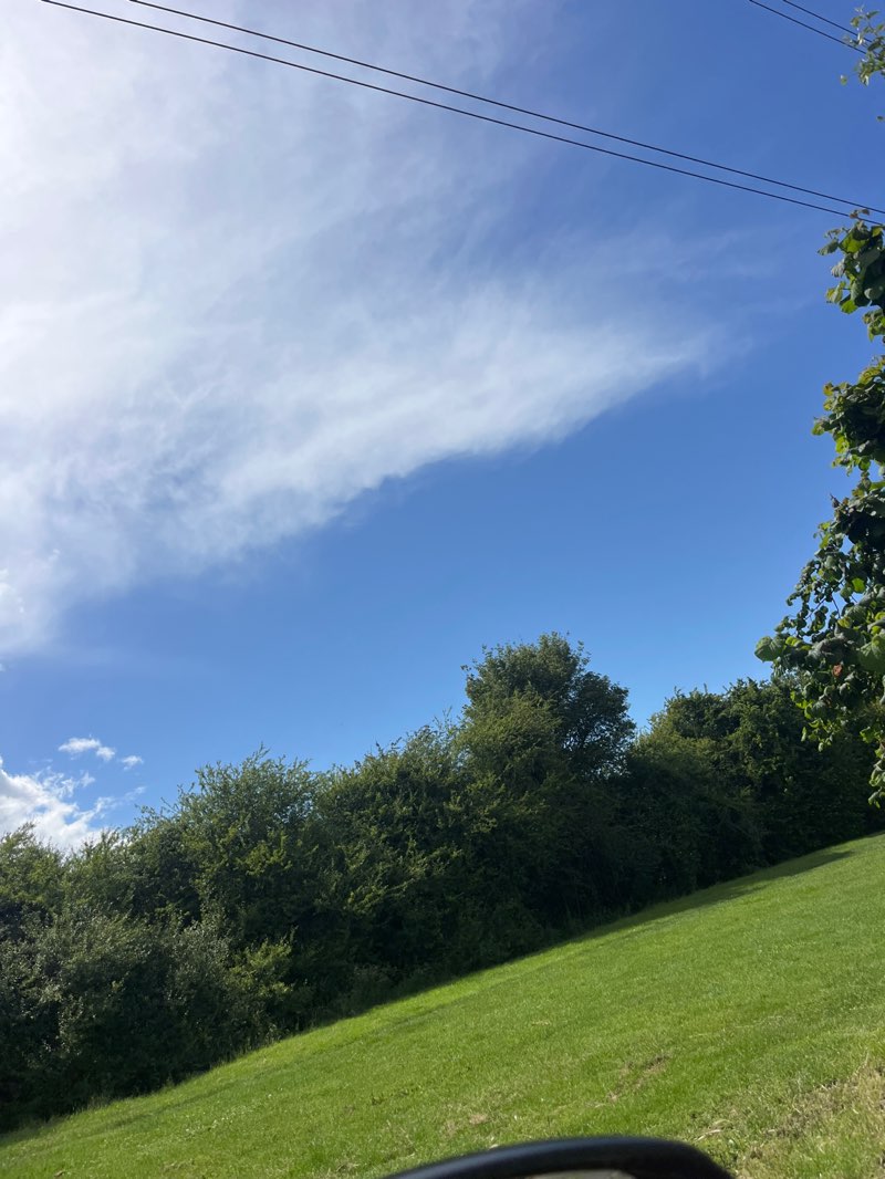 walking near me in The Willows green space. in summer