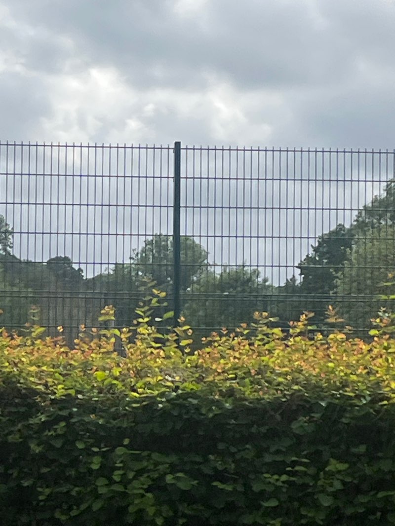 walking near me in Scotsbridge Playing Fields in summer