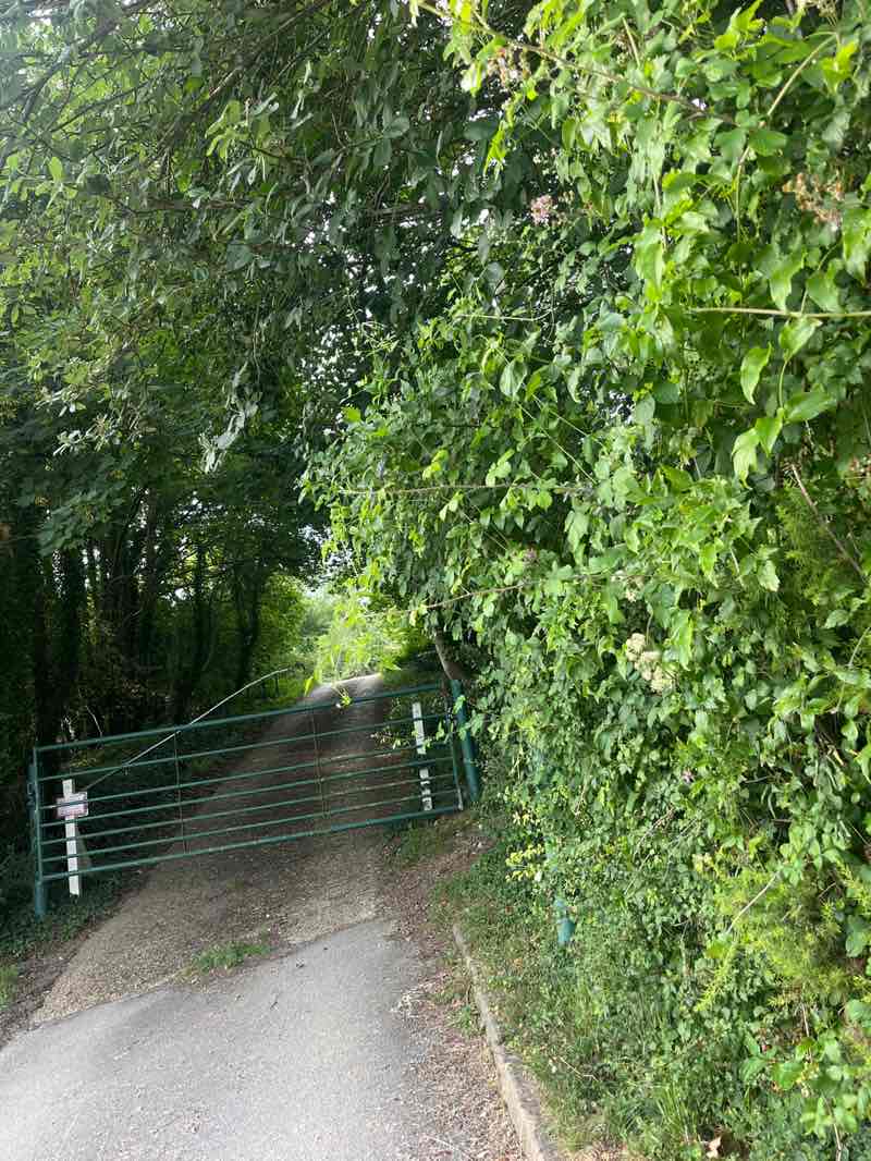 walking near me in Derehams Park in summer