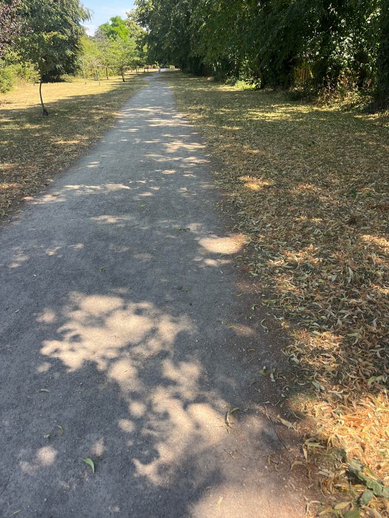 walking near me in Hawke Park in summer