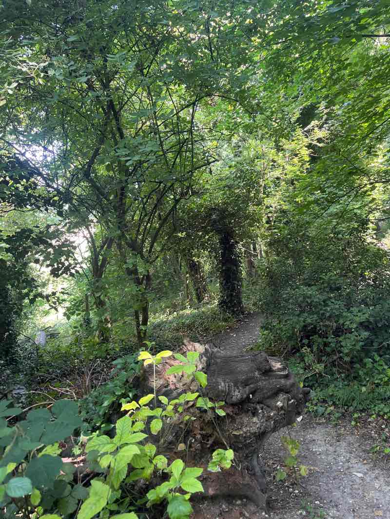 walking near me in Gomm Valley in summer