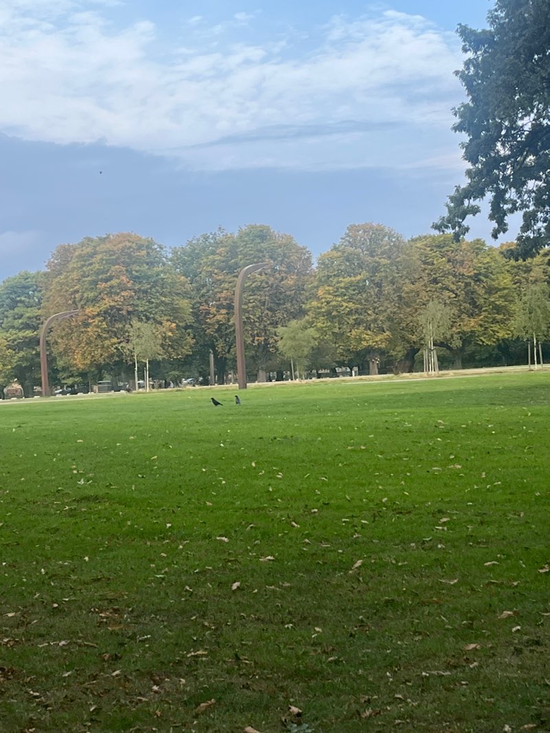 walking near me in West Park in autumn