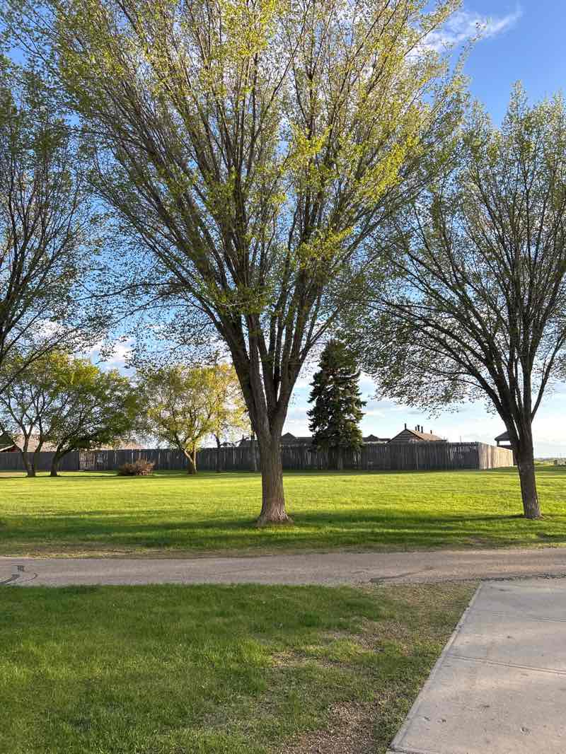 walking near me in Legacy Park in summer