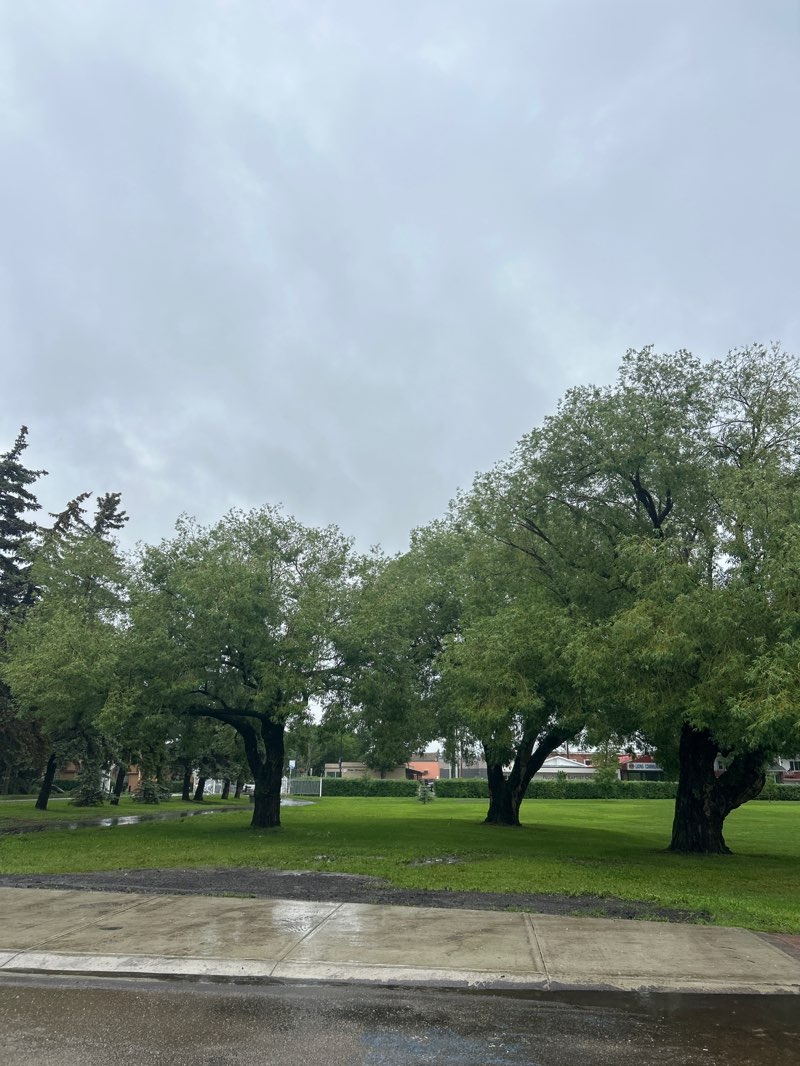 walking near me in Legacy Park in summer