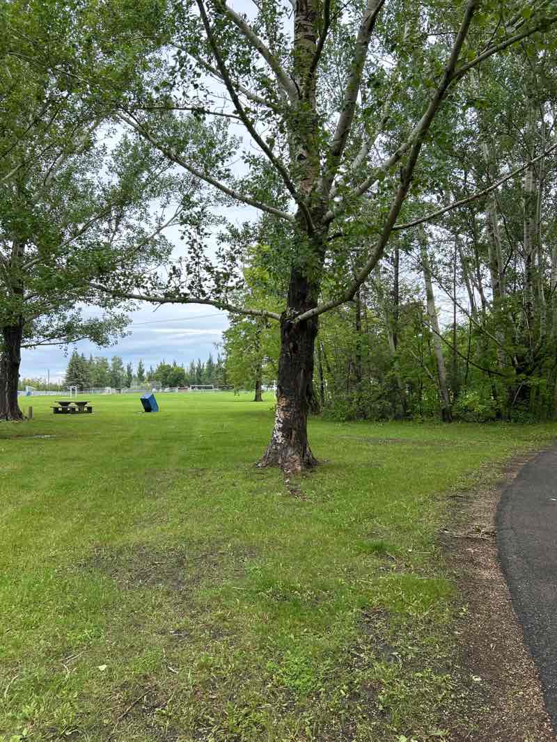 walking near me in Turner Park in summer