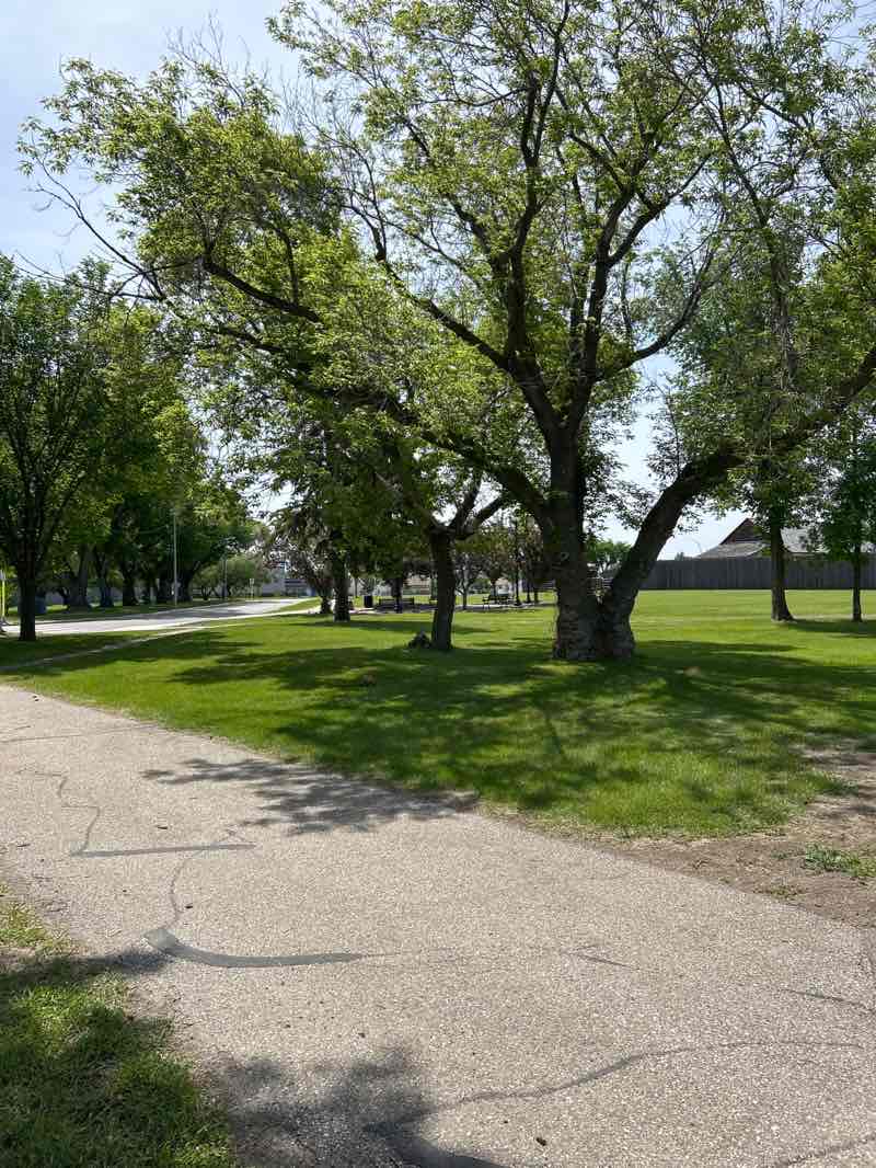 walking near me in Peter Ream Park in summer