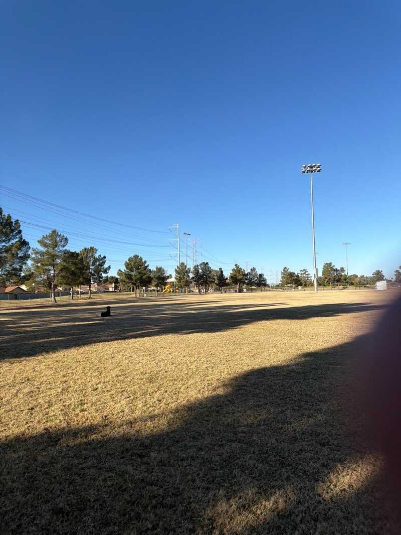 walking near me in Freestone Park in winter