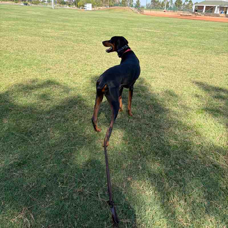 PacerGal_1968 post 2