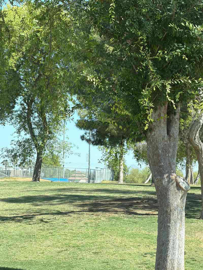 walking near me in Freestone Park in spring