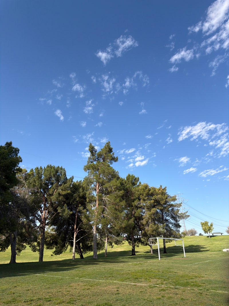 walking near me in Freestone Park in spring
