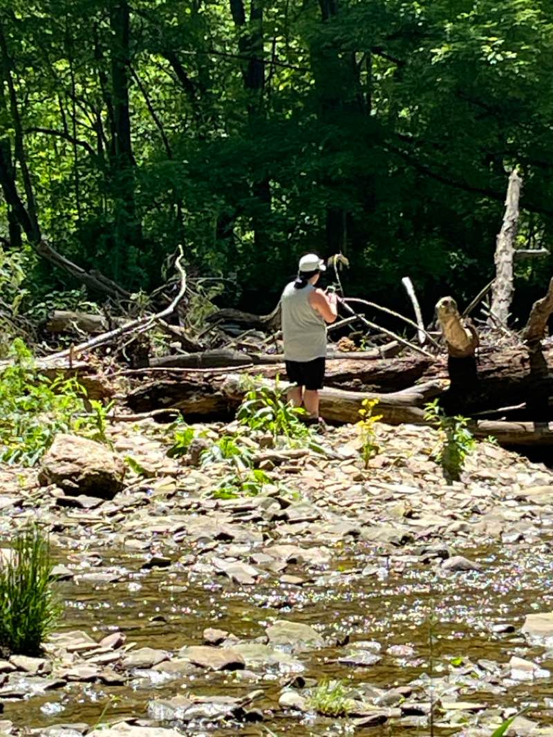 walking near me in Wooster Memorial Park in summer