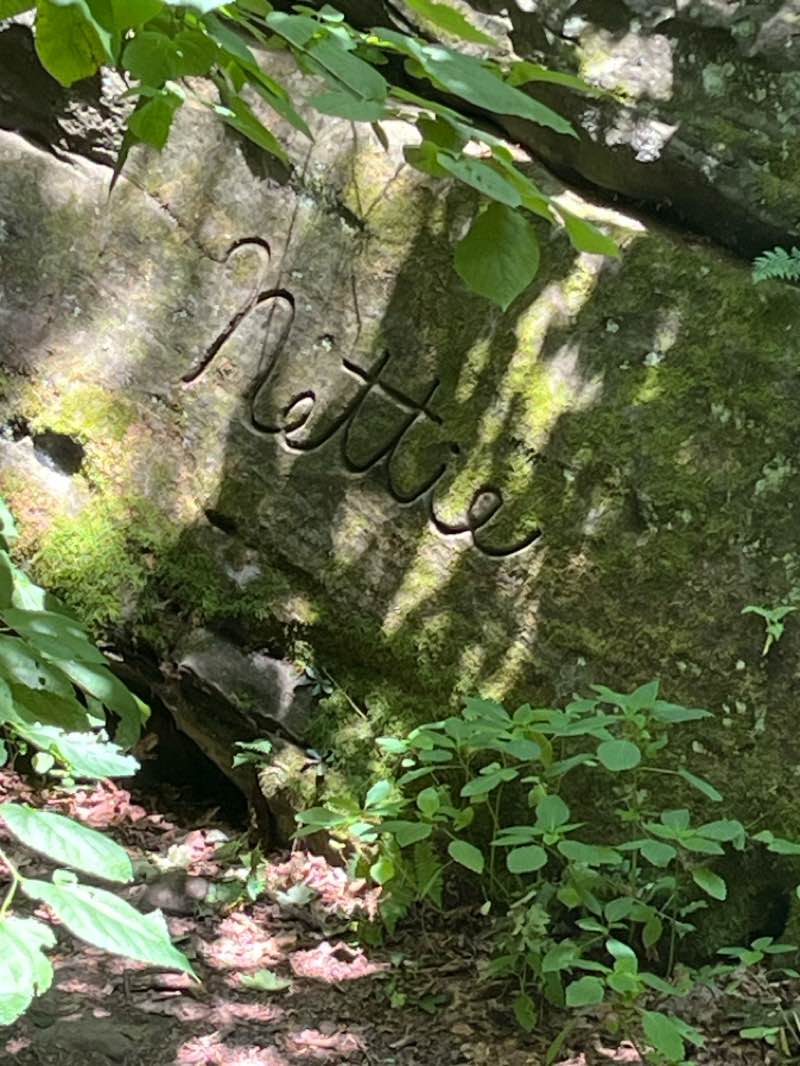 walking near me in Hinckley Reservation in summer