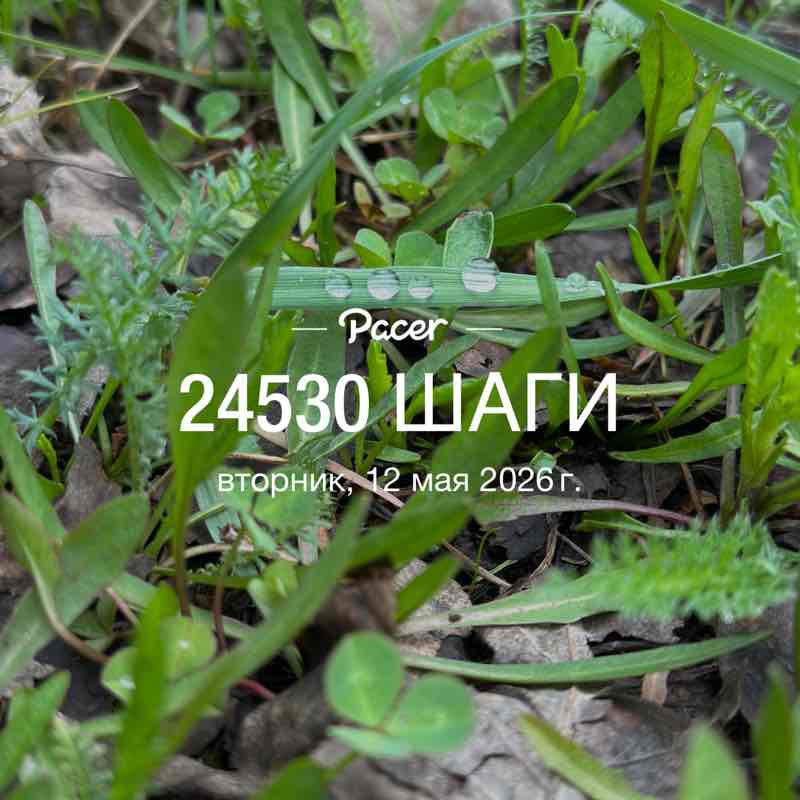 nepodarok post 1
