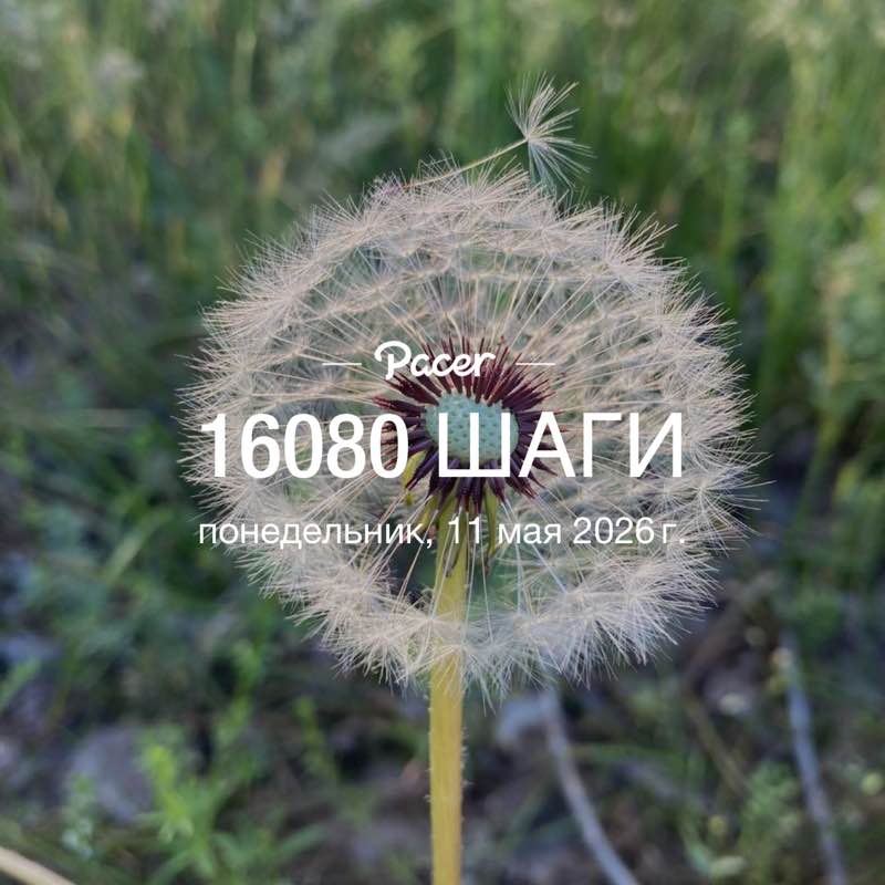 nepodarok post 1