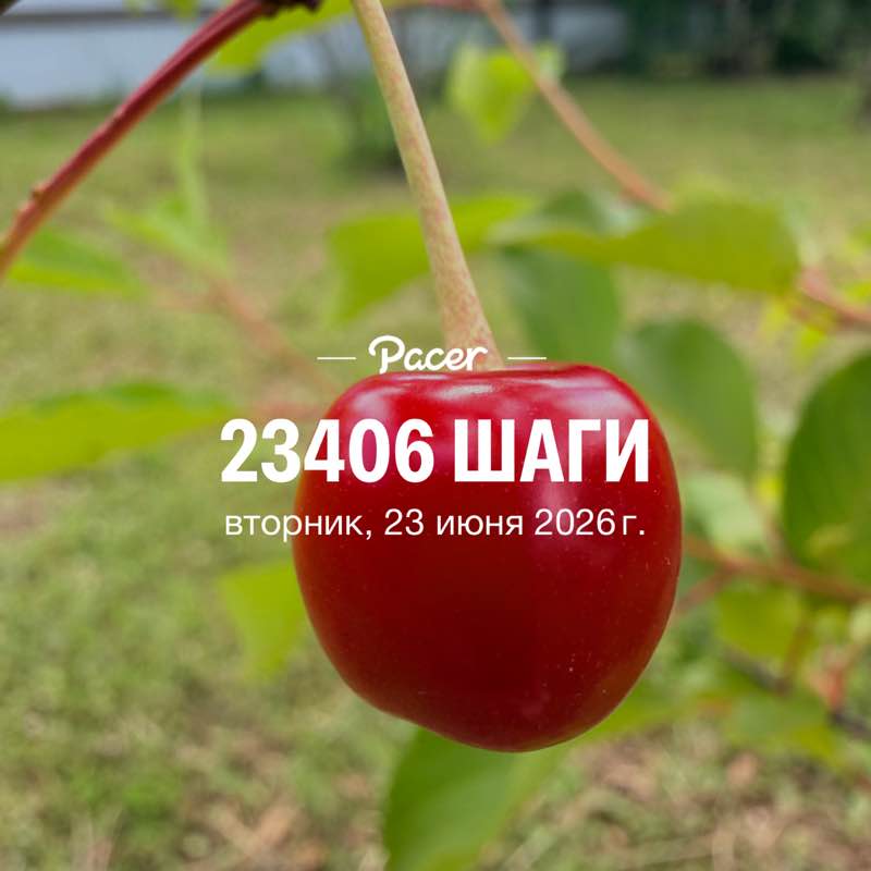 nepodarok post 1