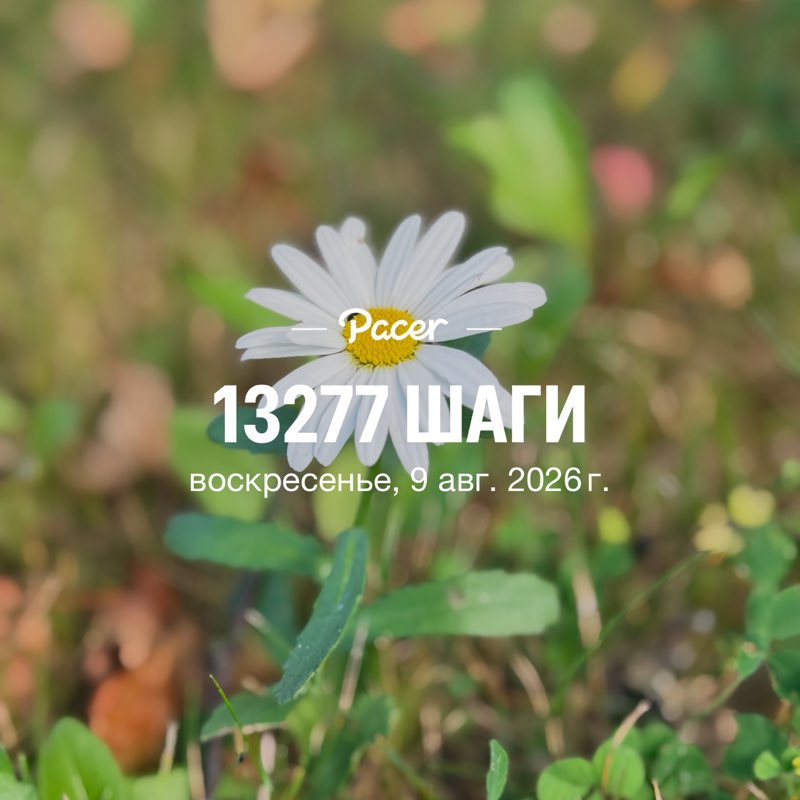 nepodarok post 1